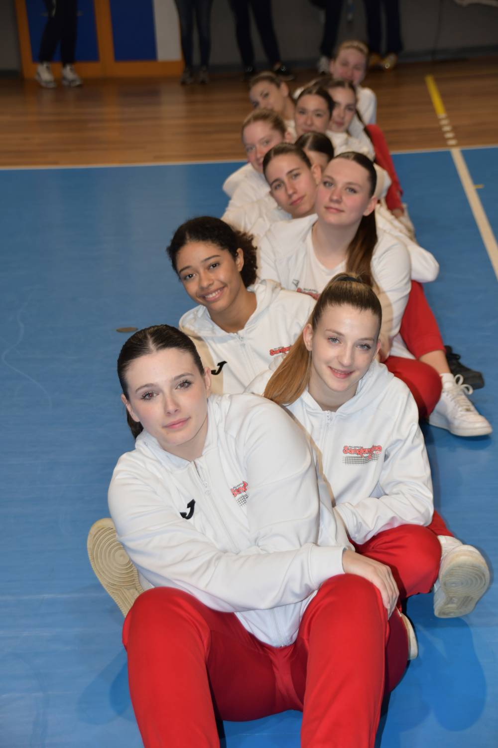 Pallavolo Sangiorgina