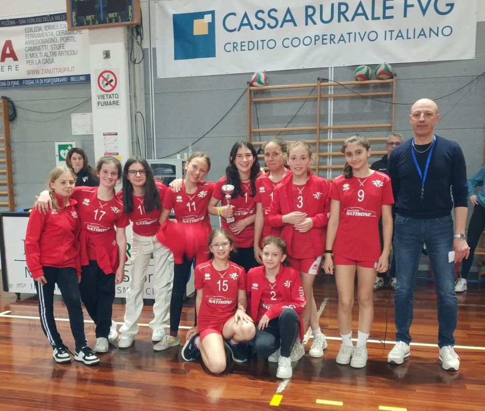 Factory Volley Cividale