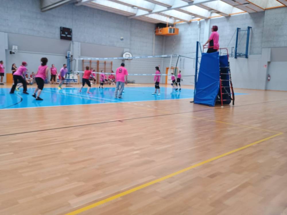 Sfida Under 12 Vivilvolley-genitori