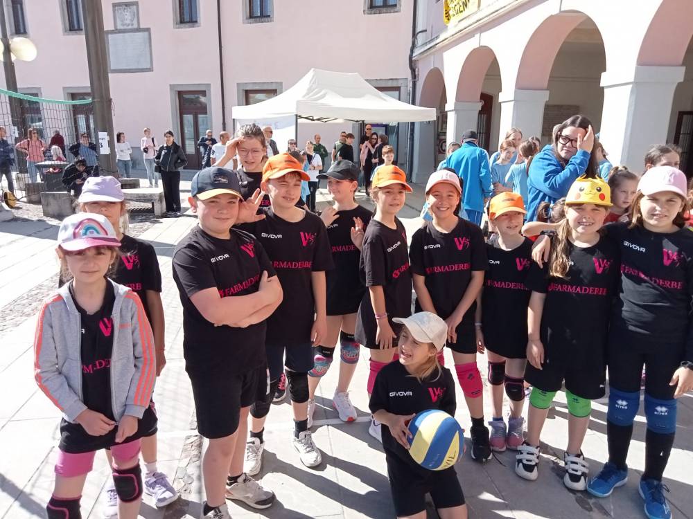 S3 Vivilvolley