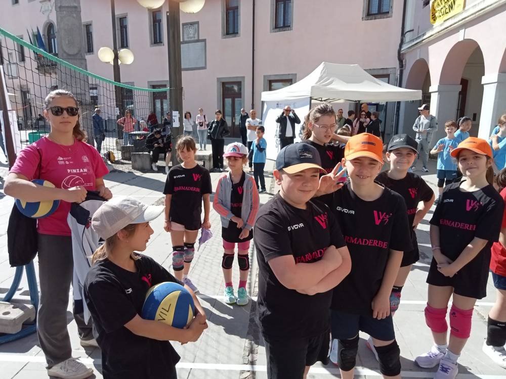 S3 Vivilvolley