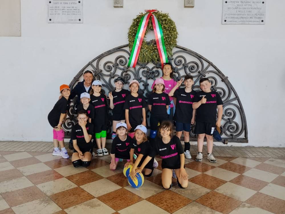 S3 Vivilvolley