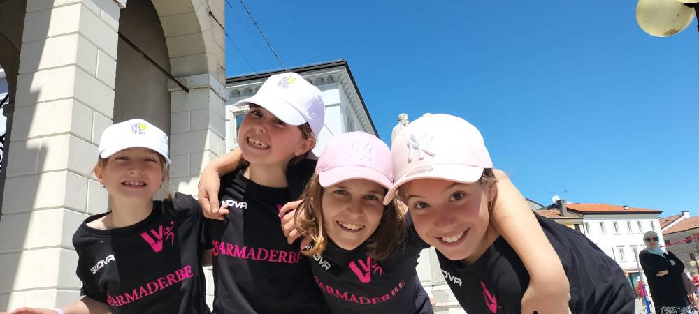 S3 Vivilvolley