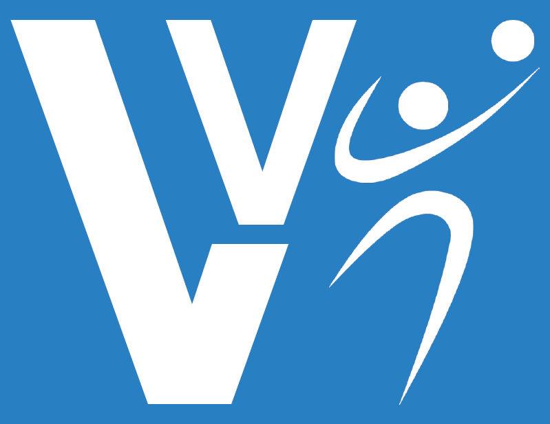Logo Vivilvolley