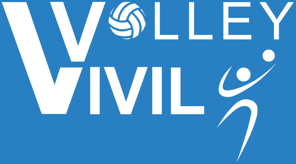 Logo Vivil