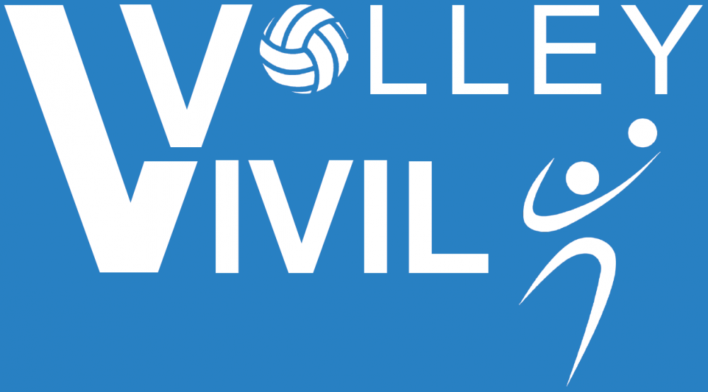 Logo Vivilvolley